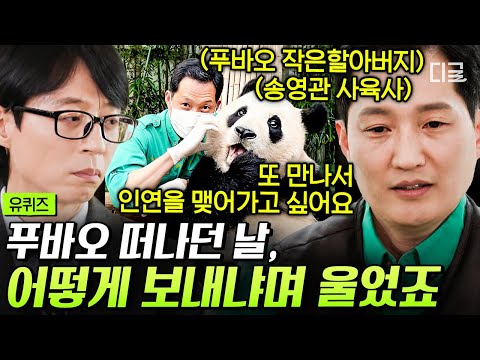 [#유퀴즈온더블럭] 애지중지 키운 푸바오와의 이별에 눈물 펑펑 쏟은 송영관 사육사😢 굳게 닫힌 사육사의 마음을 활짝 열어준 천사 판다와의 찬란했던 추억✨ #사육사