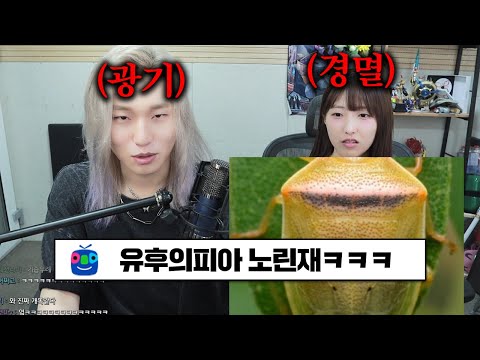 첫 만남부터 닮은곤충 실시간으로 합성하는 카라미 ㅋㅋㅋㅋㅋㅋㅋ (w.유후의피아노)