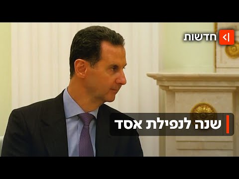 התמכר למשחקי מחשב וחי מתחת לרדאר: לאן נעלם אסד?