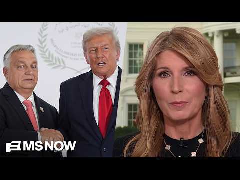 ‘KICKED TO THE CURB’: Nicolle reacts to FAILURE of MAGA love affair with Viktor Orbán