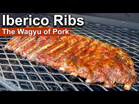 The WAGYU of Pork?? - Iberico St. Louis Style Ribs | Rum and Cook