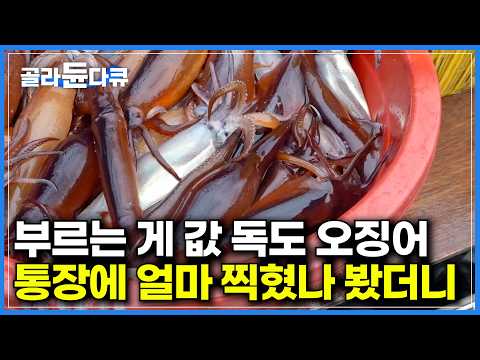수요는 넘치는데 공급이 없다. 서둘러 독도로 배 돌렸더니｜잡은 만큼 가져가는 오징어잡이｜인도네시아 선원이 오징어배 에이스｜비가 오면 낙찰가가 반토막 나는 이유｜극한직업｜#골라듄다큐