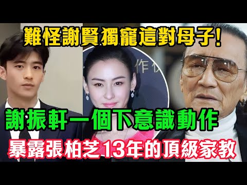 難怪謝賢獨寵這對母子！謝振軒一個下意識動作，暴露張柏芝13年的頂級家教#謝振軒#張柏芝#謝賢