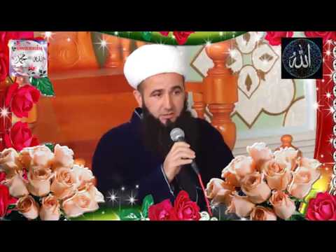 Мавлуд 2017 Точикистон