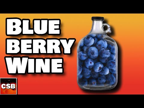 How to Make Homemade Blueberry Wine with WHOLE Fruit