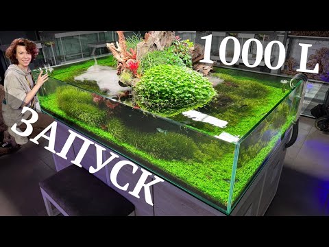 АКВАРИУМ 1000 Л ЗАПУСК | Декорации для аквариума | Высадка растений | Маша Блюм