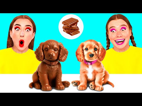 Real Food vs Chocolate Food Challenge | Awesome Kitchen Tricks by Funny Funny