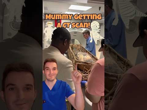 Mummy gets a CT scan!