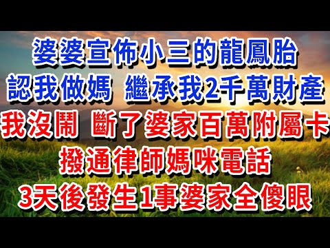 婆婆宣佈小三的龍鳳胎，認我做媽 繼承我的2千萬財產，我沒鬧 斷了婆家百萬附屬卡，撥通律師媽咪電話，三天後發生1事婆家全傻眼！#書婷講故事 #為人處世#生活經驗#情感故事#晚年哲理#說故事#完結文