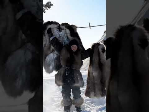 A Journey Into the Extraordinary Life of Yakutian Nomads Part 2