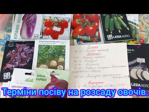 КРАЩІ ТЕРМІНИ ПОСІВУ РОЗСАДИ🍅перцю,помідорів,баклажанів#термінипосівурозсади#розсадаовочів#овочі#сад