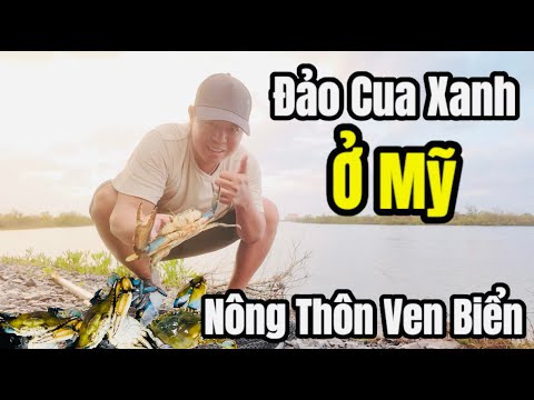 American Life - Fishing for Blue Crabs on Rural Coastal Islands