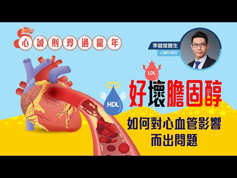 心誠則玲過龍年 - 好壞膽固醇如何對心血管影響而出問題 - 心臟科專科李健棠醫生