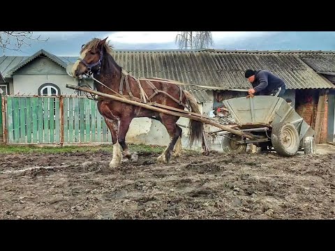 ❗❗❗UNEXPECTED ACCIDENT❗❗❗ROUSE IN WORK 👍