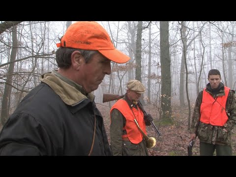 Vous tirez TOUS les sanglier !