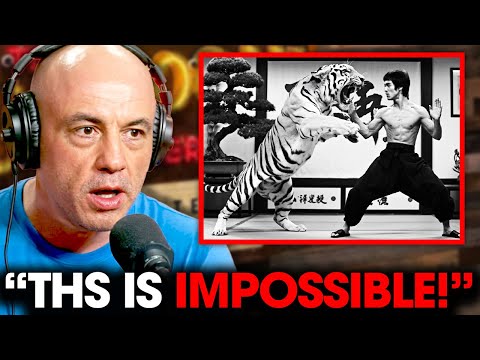 No One Believed These Bruce Lee Stories! Until They Watched This!
