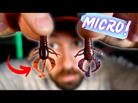 BFS Fishing: EVERYTHING You Need to Get Started + Hard to Find Gear!