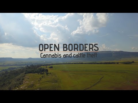 Open Borders: Cannabis and cattle theft | Documentary