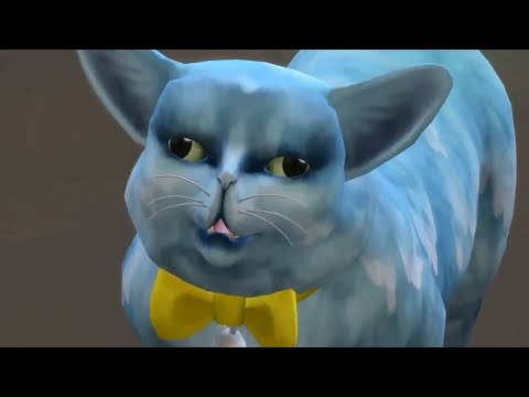 🐈 GrayStillPlays - The ULTIMATE Sims 4 Comp!