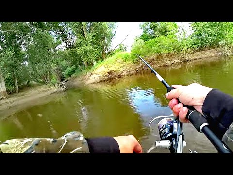 ВОТ ЭТО АСТРАХАНЬ. ПОКЛЕВКА НА КАЖДОМ ЗАБРОСЕ. Ловля на спиннинг. Рыбалка в Астрахани 2020.