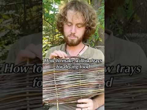 Making willow trays to preserve food #survival #hunting #foraging #bushcraft #camping