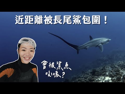 我們終於遇到鯊魚啦！來宿霧尋找全世界最美鯊魚！長尾鯊會咬人嗎？Malapascua Vlog EP1