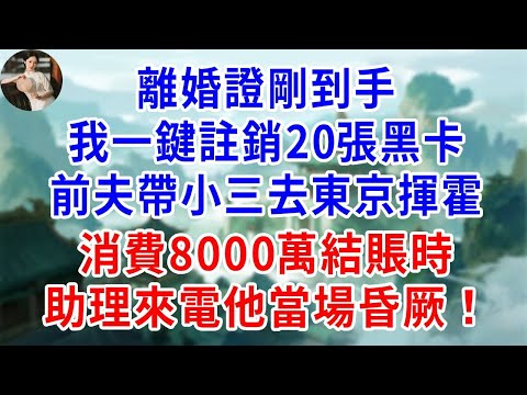 離婚證剛到手，我一鍵註銷20張黑卡，前夫帶小三去東京揮霍，消費8000萬結賬時，助理來電1句話他當場昏厥！#為人處世#生活經驗#情感故事#故事#小說#戀愛#情感#婚姻