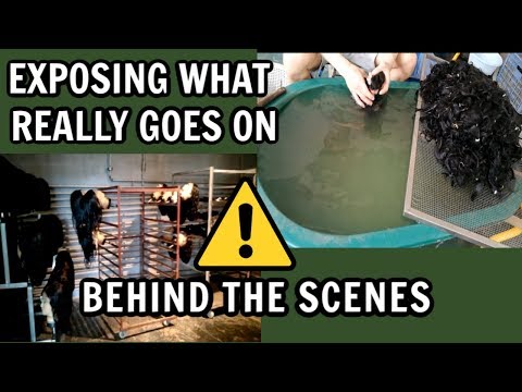 Exposing What Really Goes Down Inside a Chinese Hair Manufacturing Company | RPG Hair