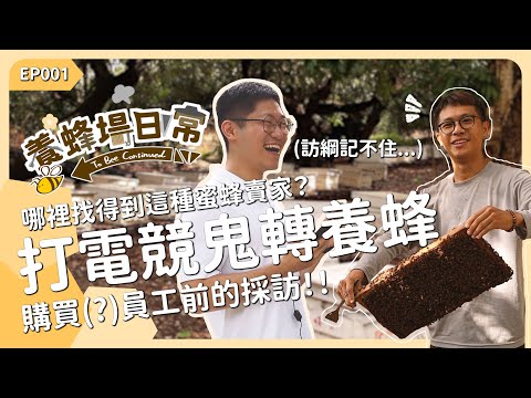 蛤什麼蜜蜂賣家打電競鬼轉養蜂！？購買員工前的採訪！《養蜂場日常 EP001》