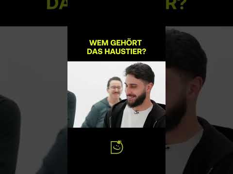 🐒❤️ Ordne die Haustiere ihren Besitzern zu #shorts