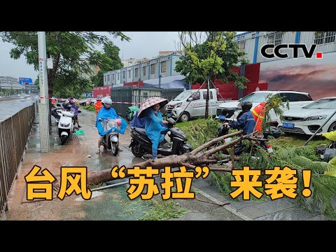 “苏拉”：超强台风，超强应对！12级风圈迫近，深圳情况如何？| CCTV「新闻1+1」20230901