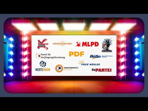 Die Wahlprogramme der kleineren Parteien erklärt | Bundestagswahl 2025