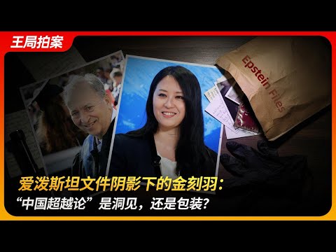 爱泼斯坦文件阴影下的金刻羽：“中国超越论”是洞见，还是包装？｜特朗普｜萨默斯｜黄亚生｜市长经济｜王局拍案 20251120