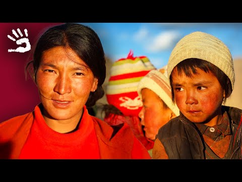 DERNIERS NOMADES de L'Himalaya : Vie et Traditions des Bergers du Ladakh 🏔️🐏 -  Documentaire - AMP