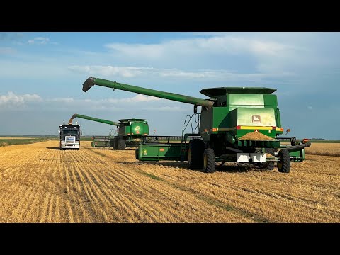 2025 Manitoba Grain Harvest | John Deere 9770 STS, John Deere 9600, Challenger MT835