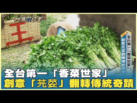 全台第一「香菜世家」 創意「芫荽」翻轉傳統奇蹟 20251213【台灣向錢衝】PART3