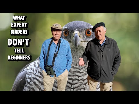 7 Things Expert Birders DON'T Tell BEGINNERS.