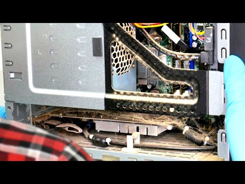 The most IMPRESSIVE spiderweb I found in a DEEP CLEANING session