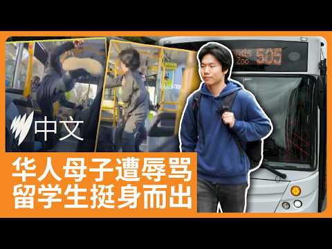 墨尔本公交车上华人母子遭种族辱骂,留学生介入出手制止 | SBS中文