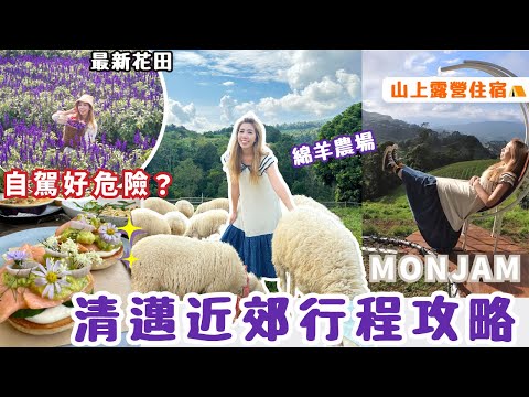 清邁近郊攻略🚗 2天1夜蒙占山上露營⛺️ 打卡沿途熱爆景點 | 🪻最新藍色花海🐏人氣綿羊農場| 網紅餐廳 Fleur Cafe| 山路危險嗎❓自駕包車Tips‼️