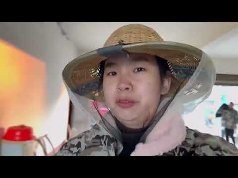 追花采蜜迁徙流浪的一年终于结束啦现在回到老家心情太激动了 三农 养蜂人 追花采蜜 迁徙流浪 过年回家