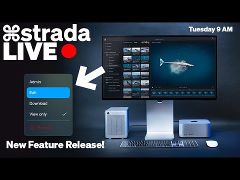 Strada Spotlight: NEW FEATURE RELEASE 10.14
