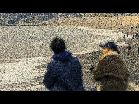 상처는 아물고 꽃은 피고 사랑은 그렇게 다시.