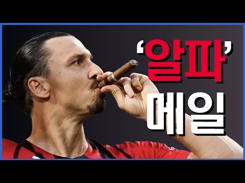 ‘망나니’에서 195cm 95kg 역대급 ‘알파메일'이 된 이유...축구계에서 가오와 실력이 일치하는 유일한 선수 즐라탄 전설의 이야기