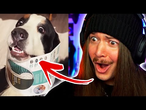 Jimmy Here CANNOT Take This Much Daily Dose Of Internet