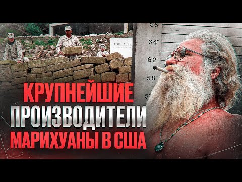 ОНИ ПЕРЕПЛЮНУЛИ НАРКОКАРТЕЛИ - Кукурузная мафия Кентукки