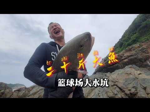 水坑越大鱼越大，阿峰被二十多斤重的大鱼掀翻，两个人根本抱不住