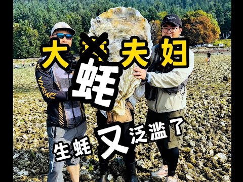 温哥华的生蚝又泛滥了，根本吃不完，这可咋办？