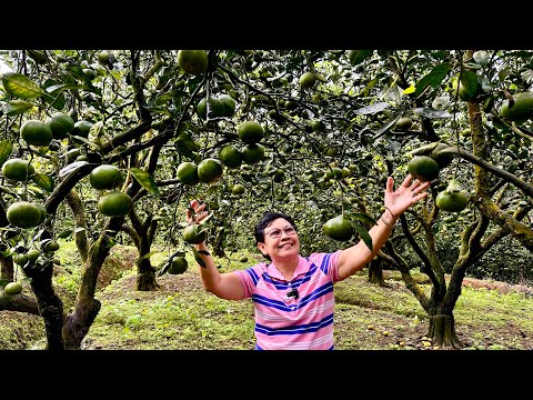 The Secrets to Becoming a Millionaire Farmer: High Tonnage, High Value