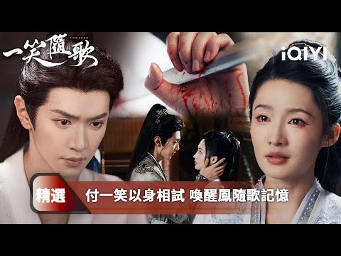 《一笑隨歌》精選12：鳳戲陽以身設局💋借夏靜炎之手誅慕容父子🔥真相撕心⚔️情劫難渡💔風雨盟誓難破⚔️宿命輪回，他們能否攜手離開血與權的牢籠？🌙 | 愛奇藝